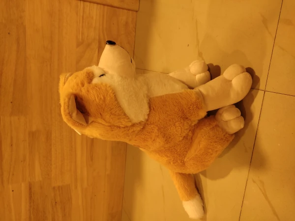 Dog mid