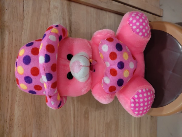 Cap teddy