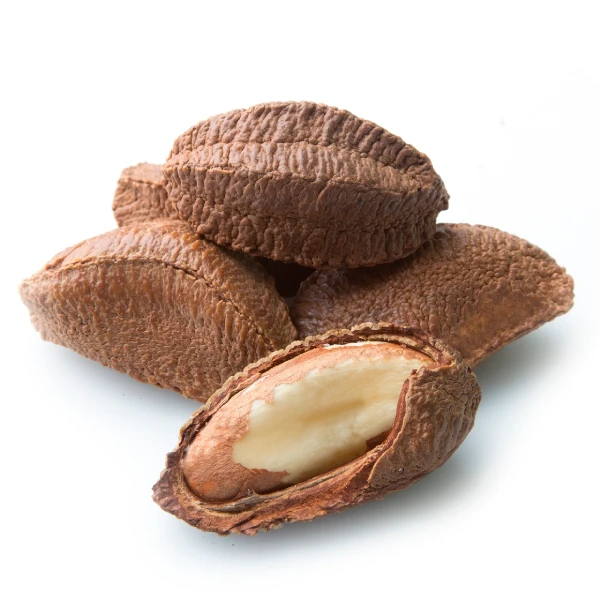 BRAZIL NUT