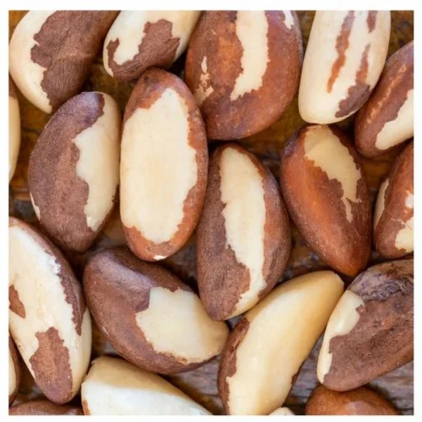 BRAZIL NUT