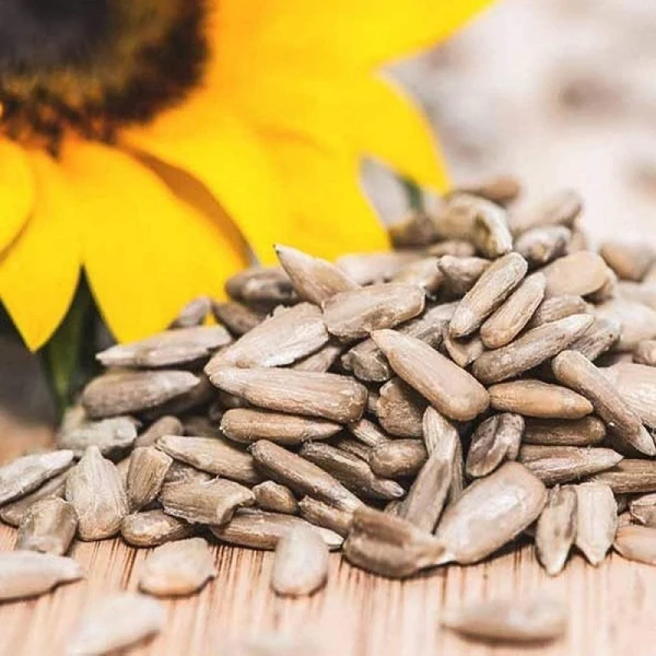 SUNFLOWER SEED