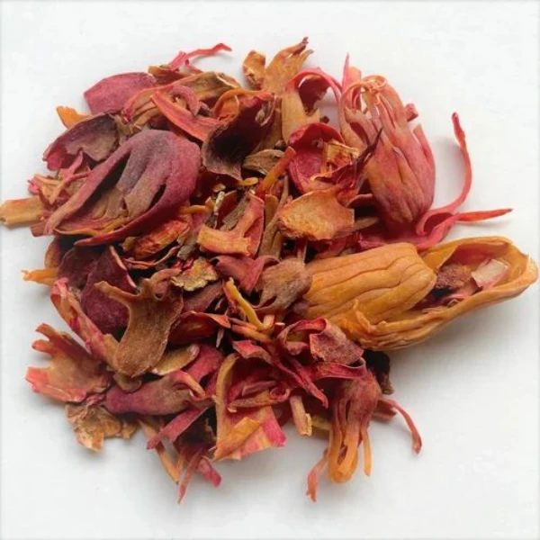 JAATHIBADRI