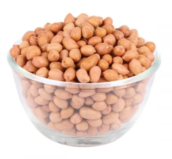 PLAIN GROUNDNUT